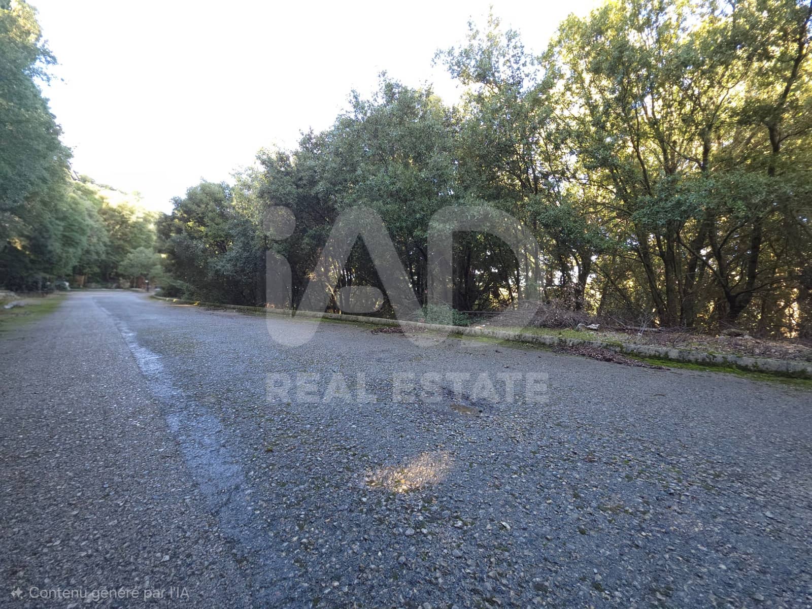 Terreno/Finca Rústica en Escorca en venta - 98.000 € (Ref: 9990952)