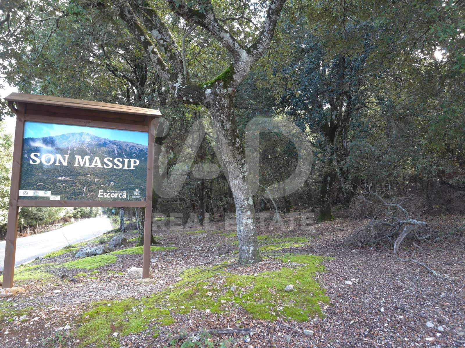 Terreno/Finca Rústica en Escorca en venta - 98.000 € (Ref: 9990952)