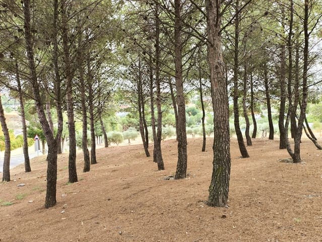 Area Edificabile in vendita in Madrid città - 139.000 € (Rif: 9990964)