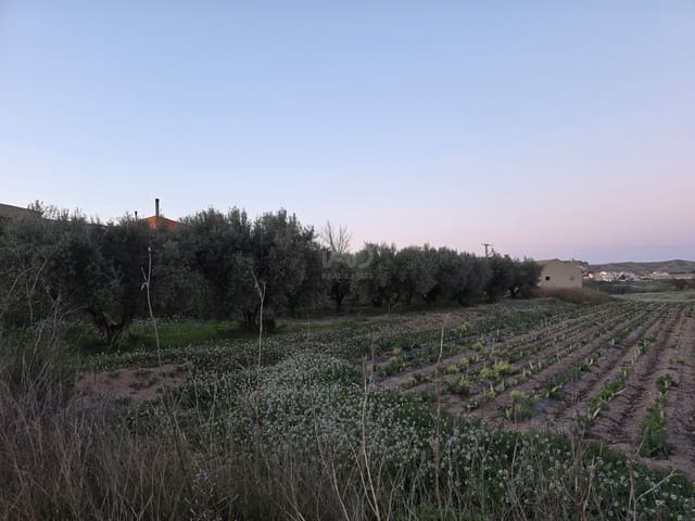 Grond te koop in Calasparra - € 30.000 (Ref: 9990980)