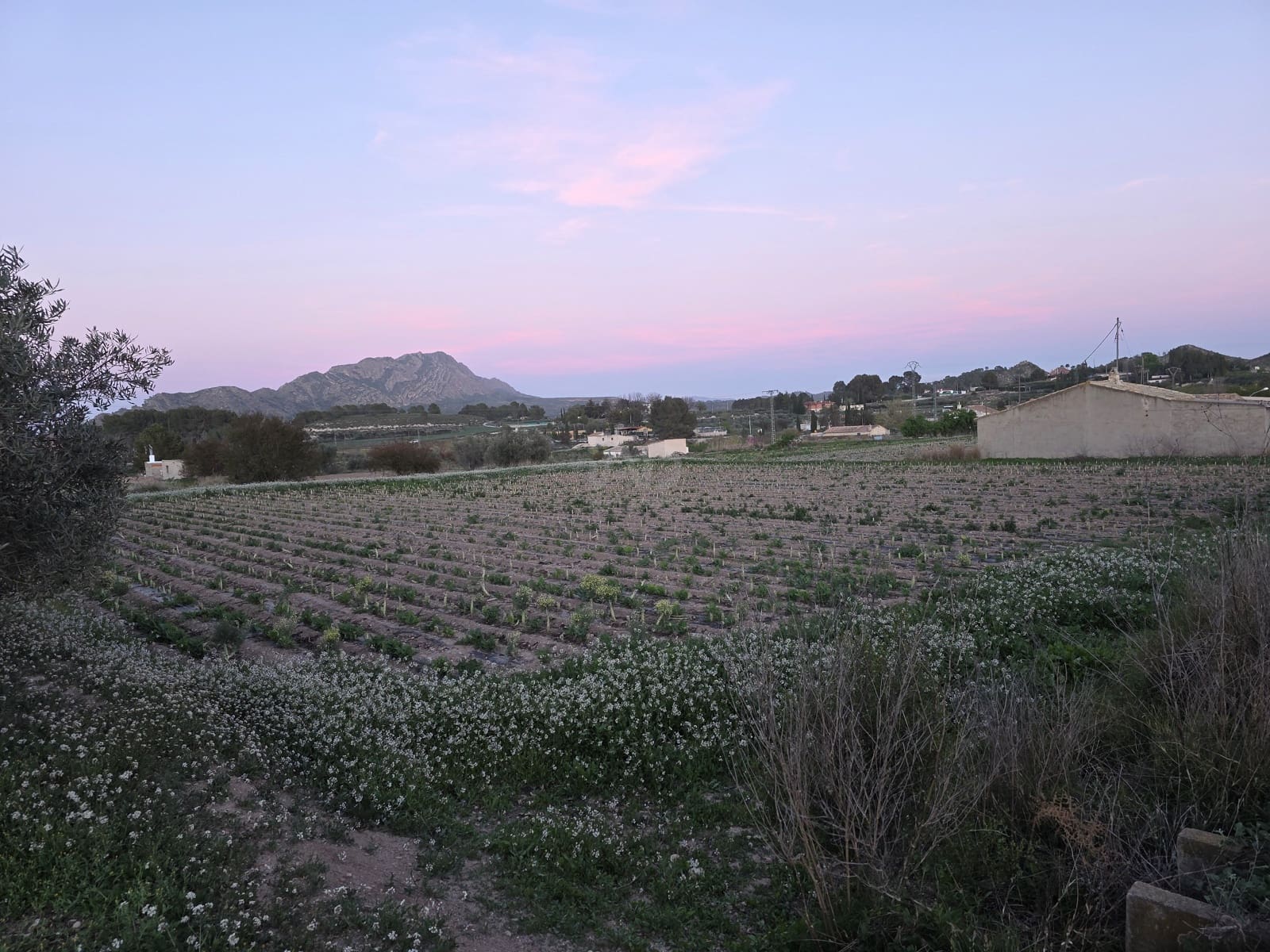 Grond te koop in Calasparra - € 30.000 (Ref: 9990980)