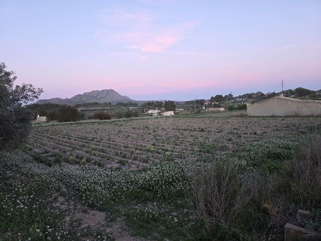 Grond te koop in Calasparra - € 30.000 (Ref: 9990980)