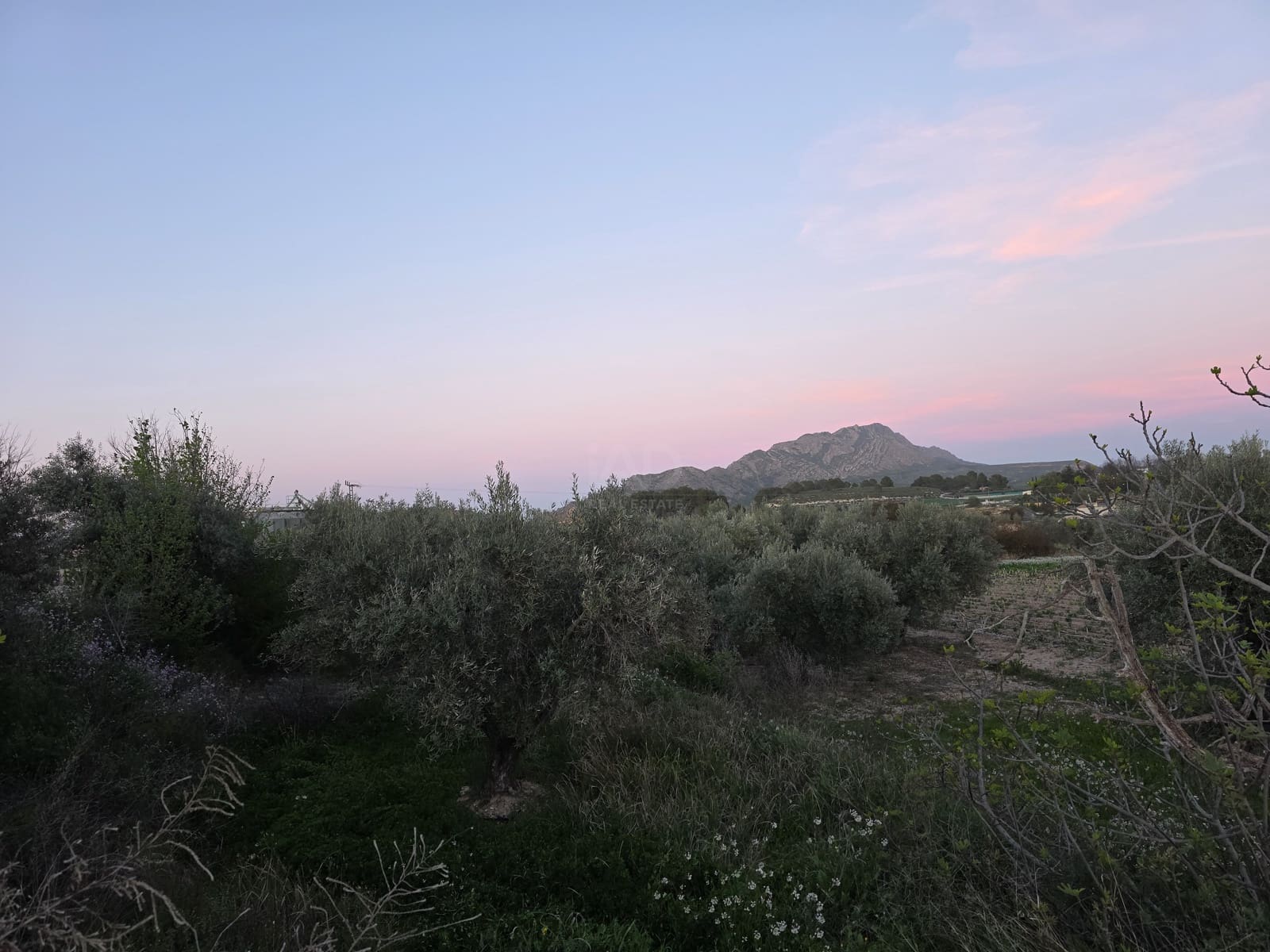 Grond te koop in Calasparra - € 30.000 (Ref: 9990980)
