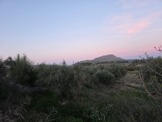 Grond te koop in Calasparra - € 30.000 (Ref: 9990980)