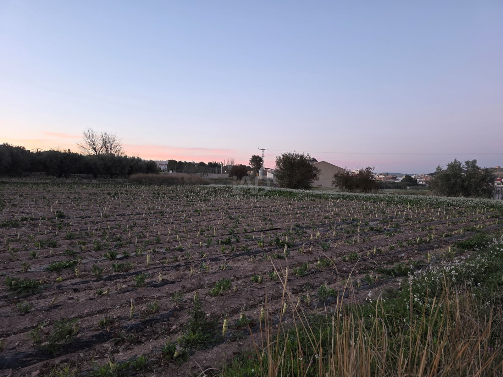 Grond te koop in Calasparra - € 30.000 (Ref: 9990980)