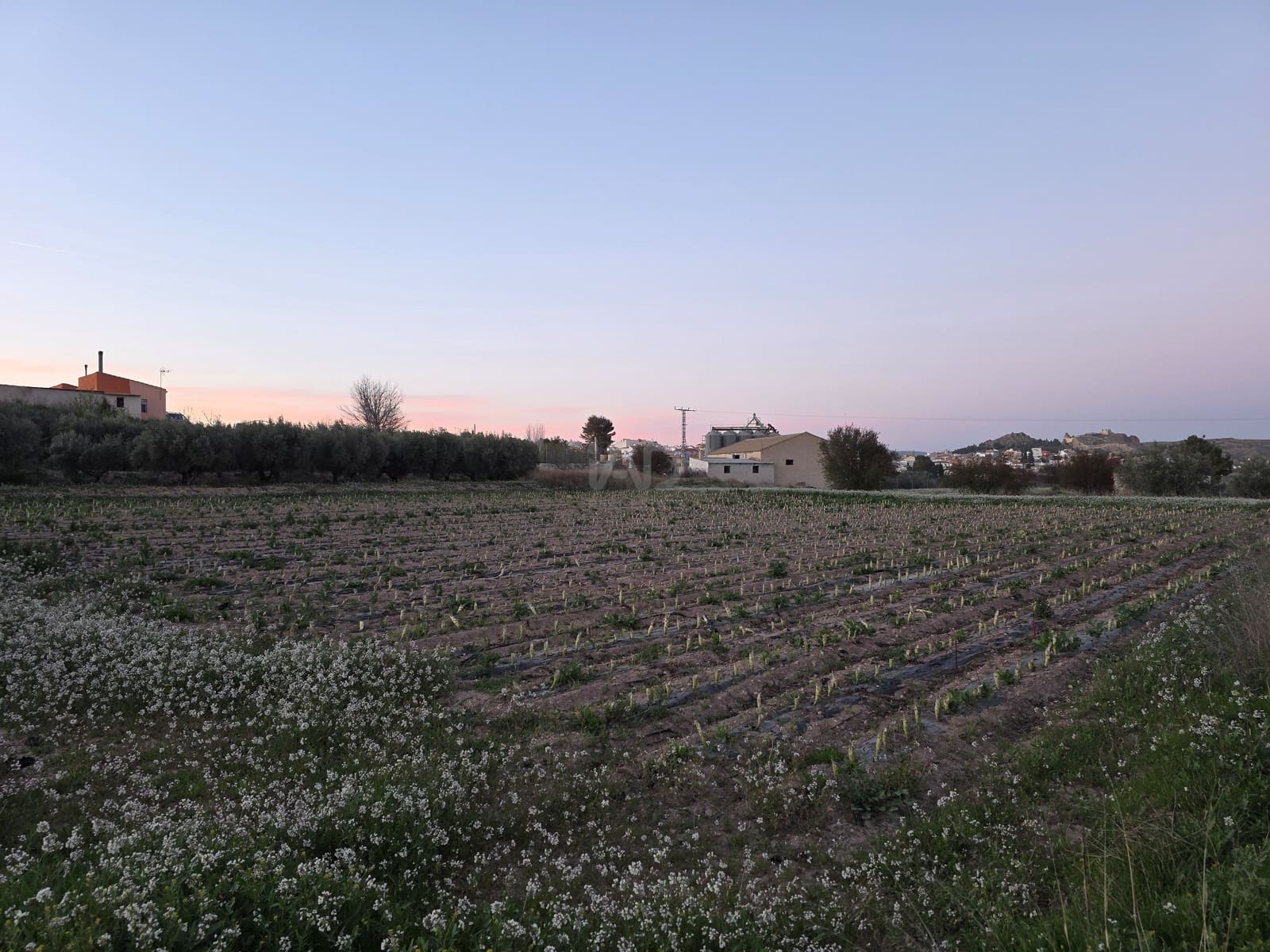 Grond te koop in Calasparra - € 30.000 (Ref: 9990980)