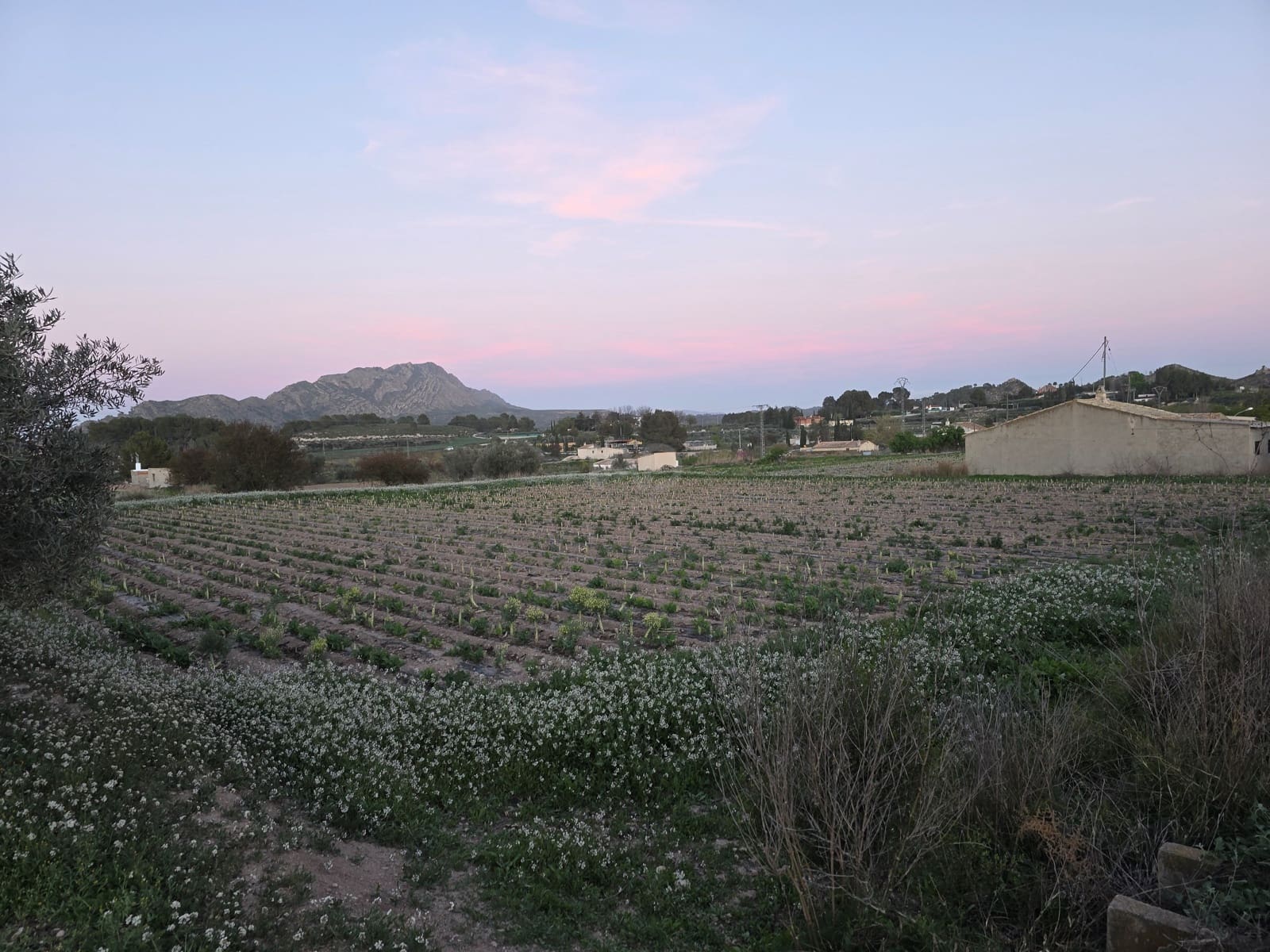 Grond te koop in Calasparra - € 30.000 (Ref: 9990980)