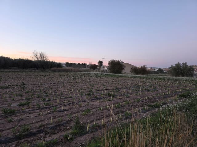 Grond te koop in Calasparra - € 30.000 (Ref: 9990980)