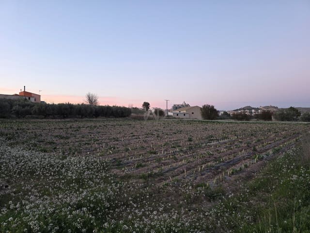 Grond te koop in Calasparra - € 30.000 (Ref: 9990980)