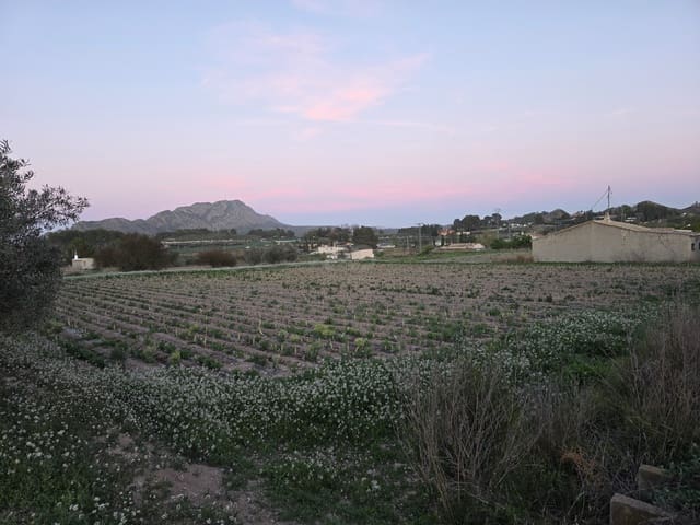 Grond te koop in Calasparra - € 30.000 (Ref: 9990980)
