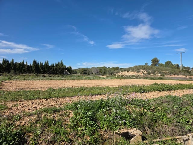 Grond te koop in Calasparra - € 70.000 (Ref: 9990984)