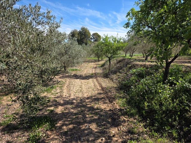 Grond te koop in Calasparra - € 70.000 (Ref: 9990984)