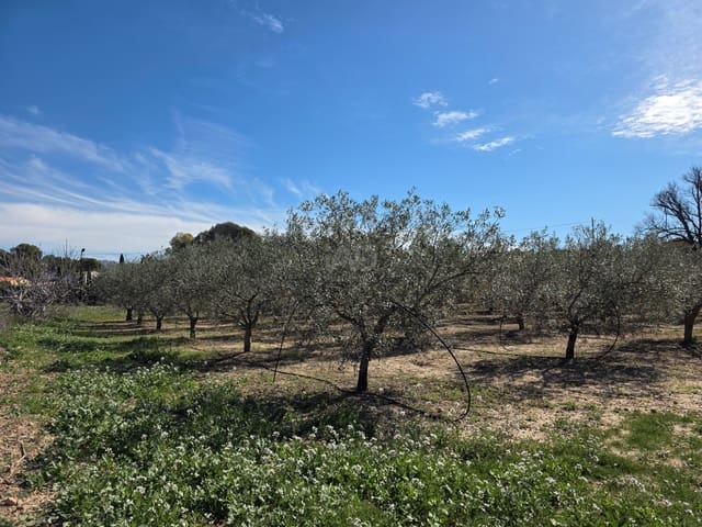 Grond te koop in Calasparra - € 70.000 (Ref: 9990984)