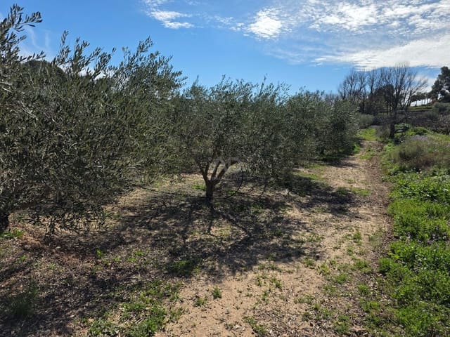 Grond te koop in Calasparra - € 70.000 (Ref: 9990984)