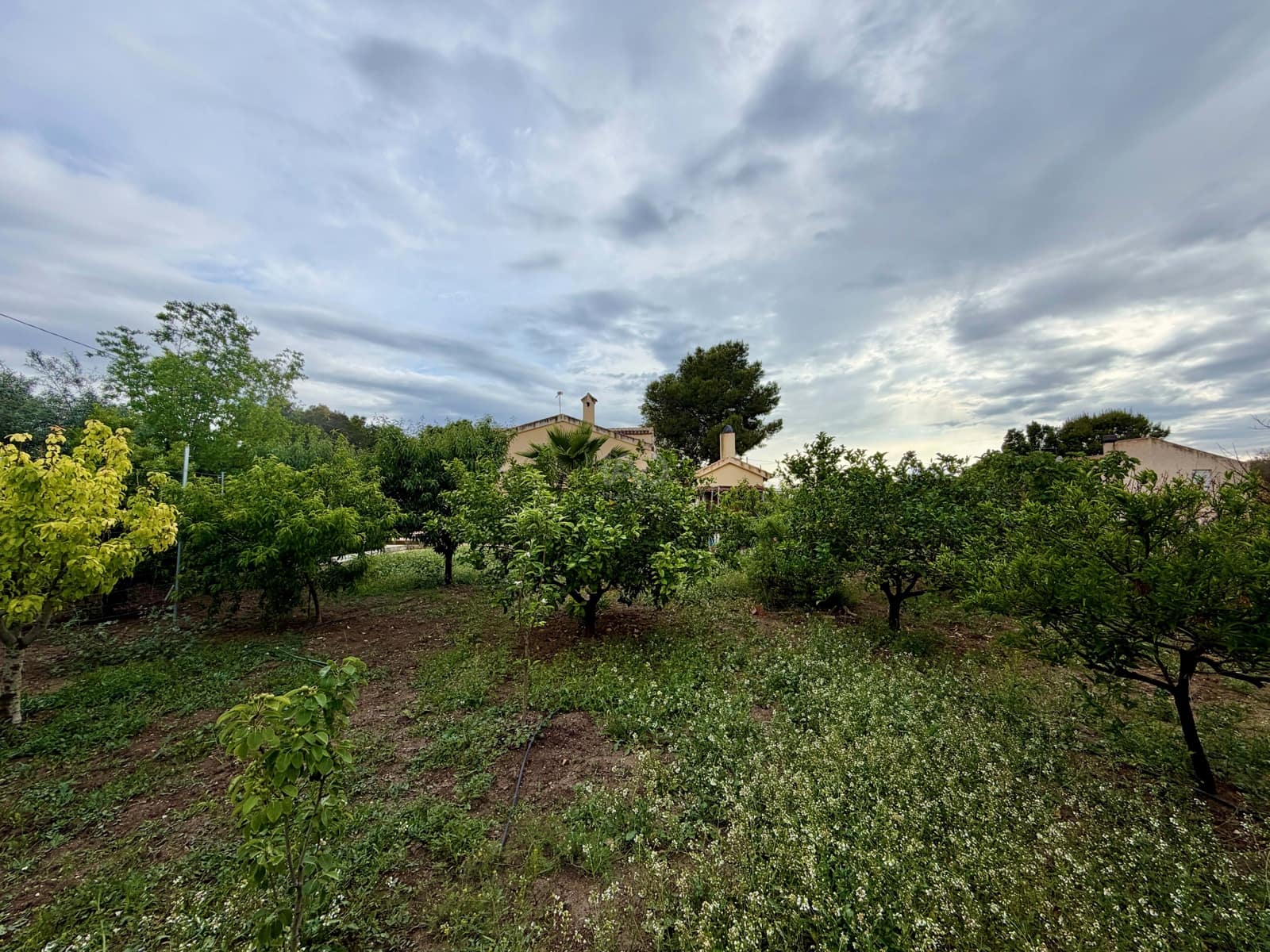 Chalet de 5 habitaciones en La Alcayna en venta - 390.000 € (Ref: 9990990)