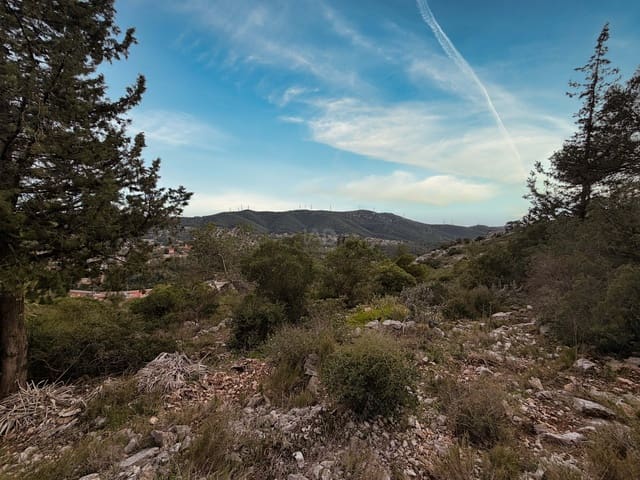 Building Plot for sale in Olesa de Bonesvalls - € 155,000 (Ref: 9990994)