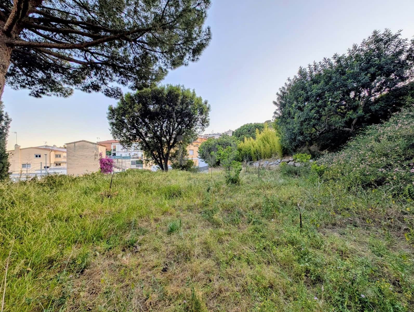 Terreno Não Urbanizado para venda em Barcelona cidade - 280 000 € (Ref: 9991003)