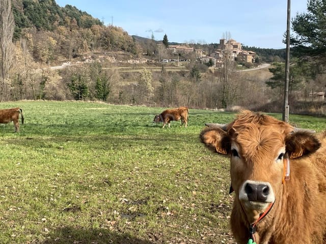Tomt till salu i Sant Jaume de Frontanyà - 168 000 € (Ref: 9991007)