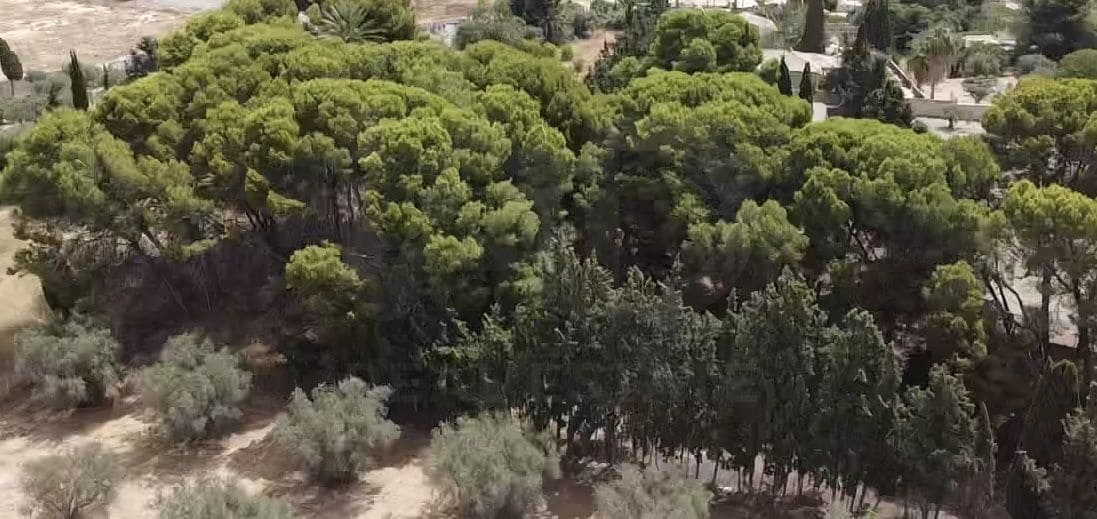 12 sovrum Finca/Hus på landet till salu i Alicante stad med pool garage - 1 700 000 € (Ref: 9991014)
