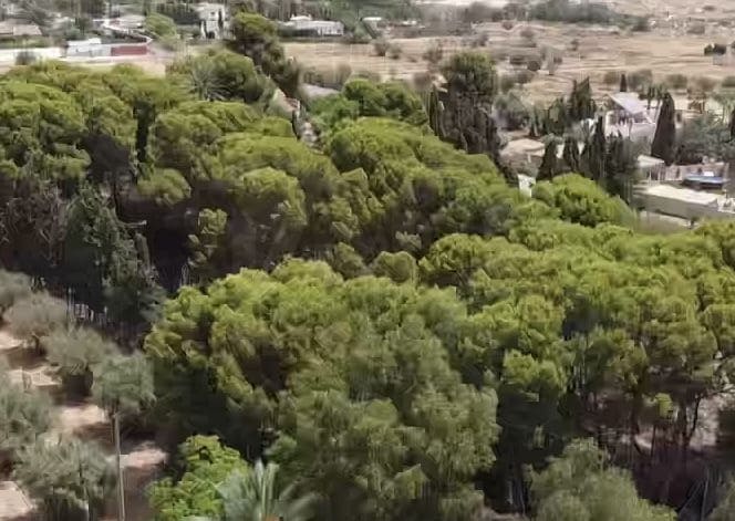 12 sovrum Finca/Hus på landet till salu i Alicante stad med pool garage - 1 700 000 € (Ref: 9991014)