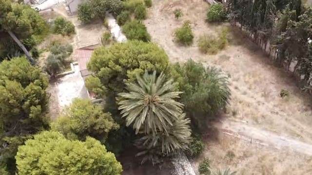 12 sovrum Finca/Hus på landet till salu i Villafranqueza, Alicante stad med pool garage - 1 700 000 € (Ref: 9991014)