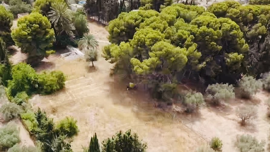 12 sovrum Finca/Hus på landet till salu i Alicante stad med pool garage - 1 700 000 € (Ref: 9991014)