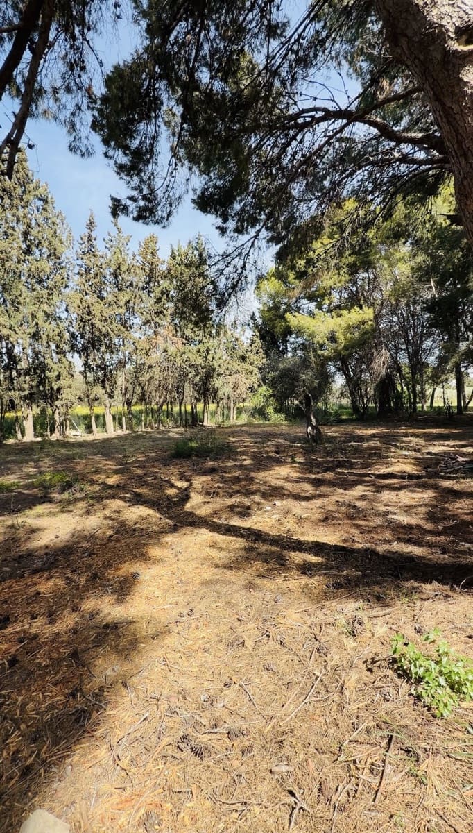 12 sovrum Finca/Hus på landet till salu i Alicante stad med pool garage - 1 700 000 € (Ref: 9991014)