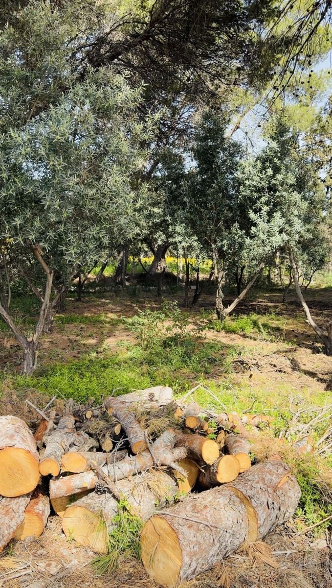 12 sovrum Finca/Hus på landet till salu i Alicante stad med pool garage - 1 700 000 € (Ref: 9991014)