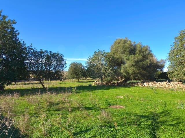 Ubebygd land til salgs i Santa Margalida - € 160 000 (Ref: 9991017)