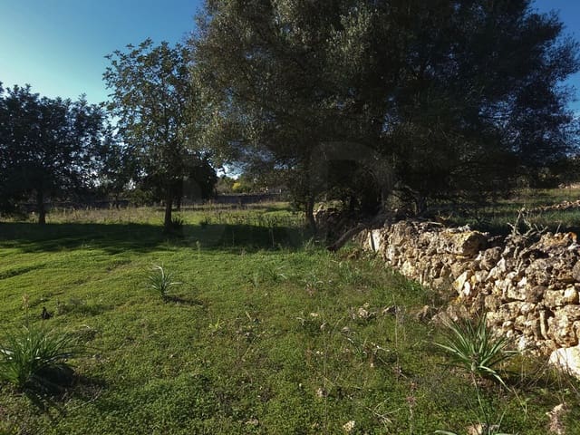 Ubebygd land til salgs i Santa Margalida - € 160 000 (Ref: 9991017)
