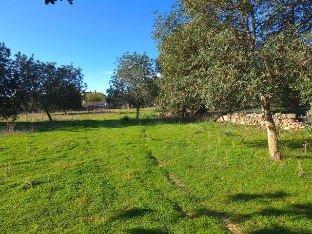 Ubebygd land til salgs i Santa Margalida - € 160 000 (Ref: 9991017)