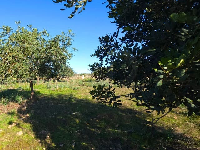 Ubebygd land til salgs i Santa Margalida - € 160 000 (Ref: 9991017)