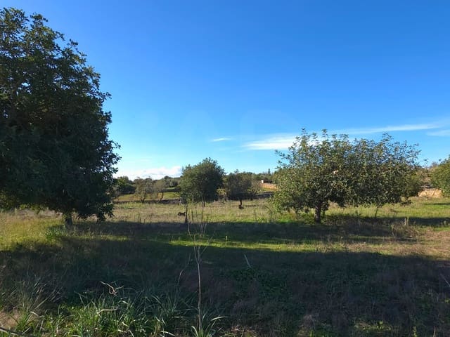 Ubebygd land til salgs i Santa Margalida - € 160 000 (Ref: 9991017)
