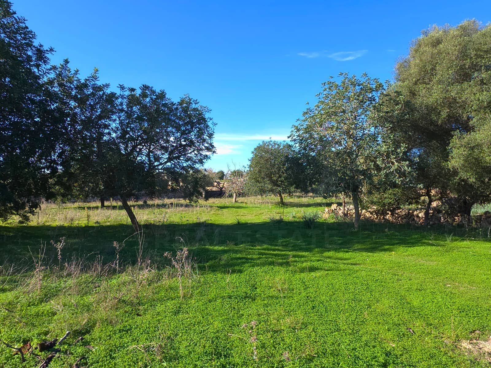 Ubebygd land til salgs i Santa Margalida - € 160 000 (Ref: 9991017)