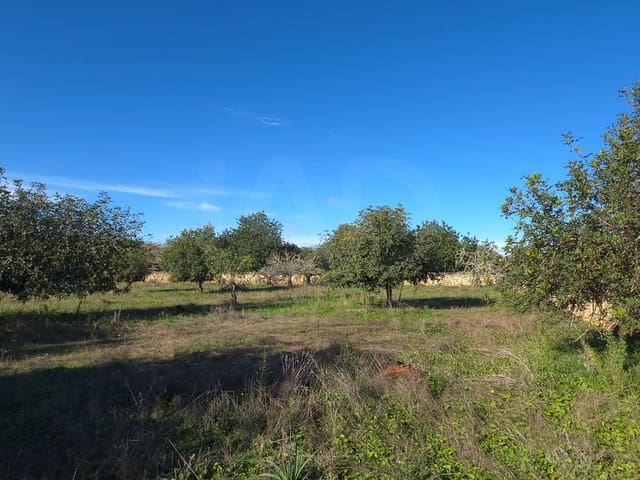Ubebygd land til salgs i Santa Margalida - € 160 000 (Ref: 9991017)