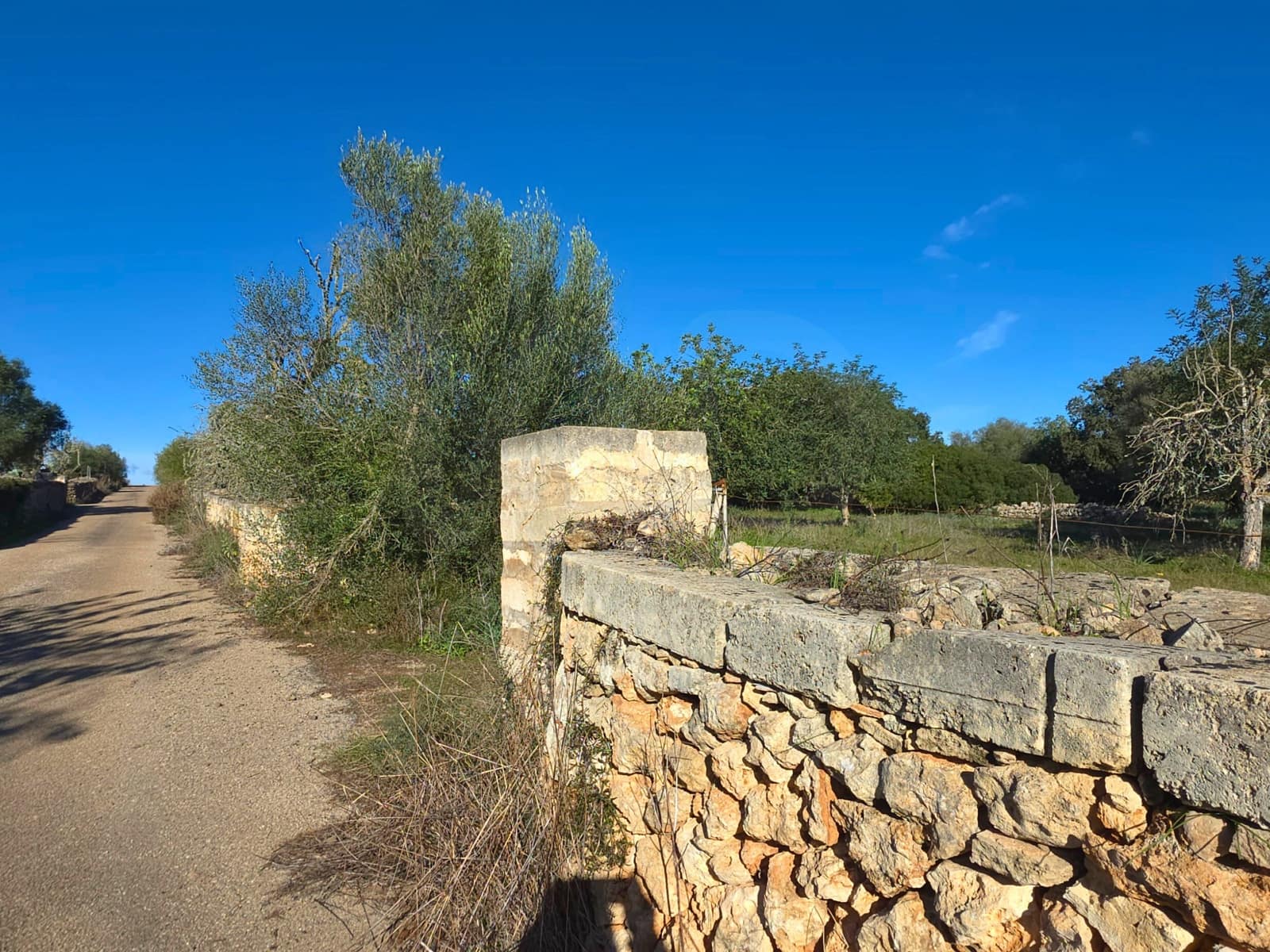 Ubebygd land til salgs i Santa Margalida - € 160 000 (Ref: 9991017)