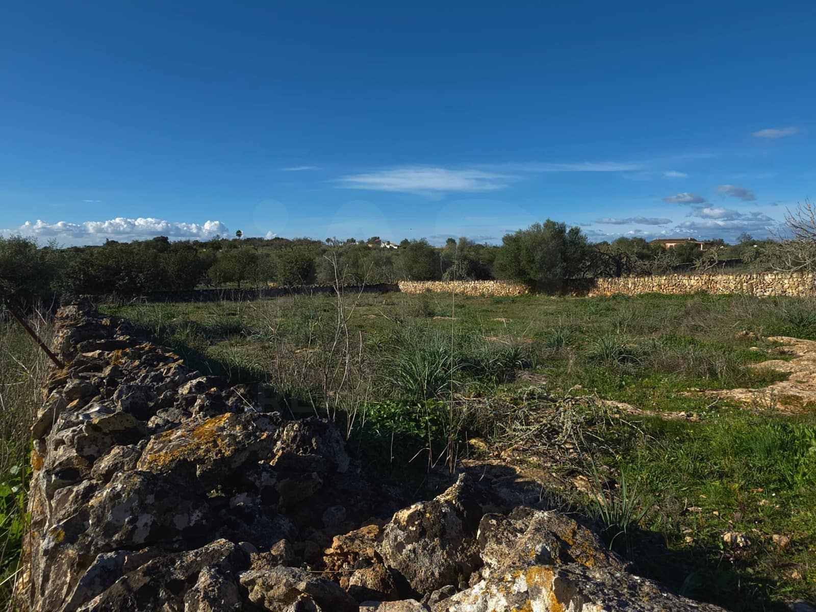 Ubebygd land til salgs i Santa Margalida - € 160 000 (Ref: 9991017)