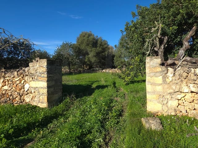 Ubebygd land til salgs i Santa Margalida - € 160 000 (Ref: 9991017)