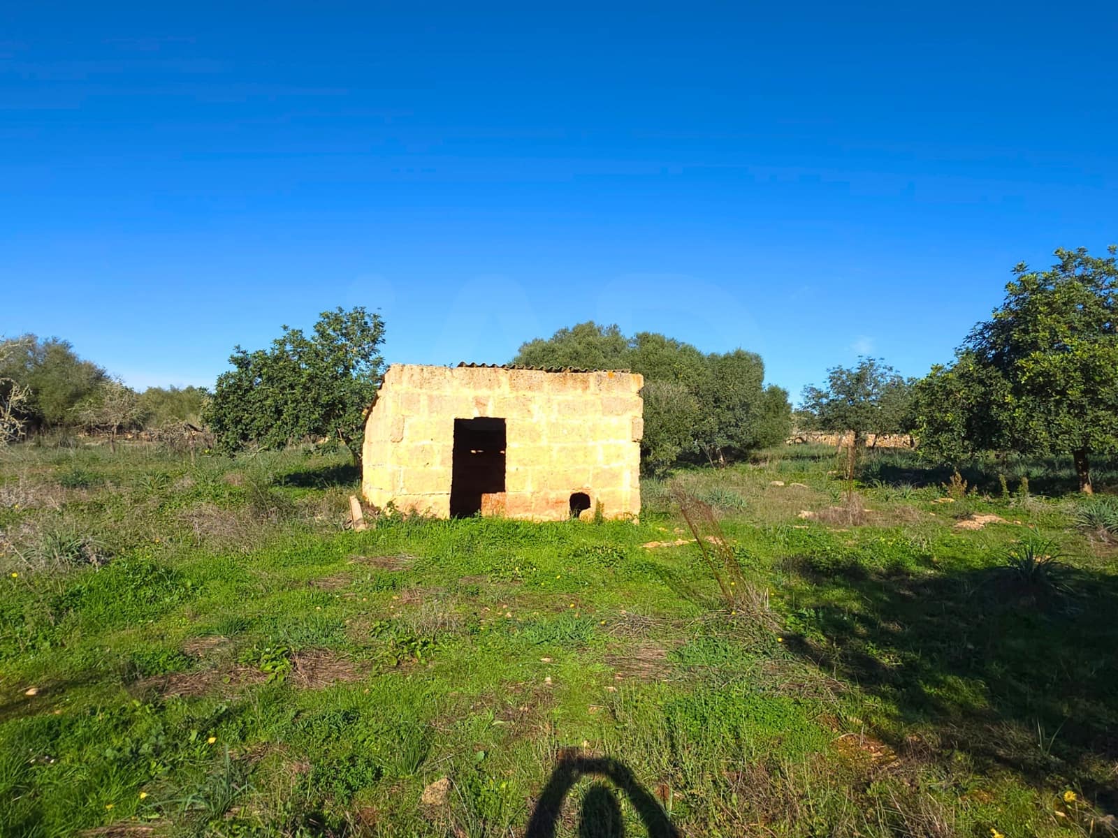 Ubebygd land til salgs i Santa Margalida - € 160 000 (Ref: 9991017)
