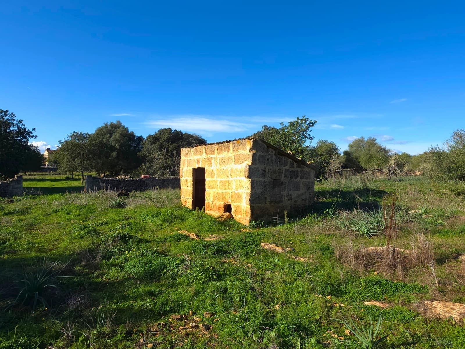 Ubebygd land til salgs i Santa Margalida - € 160 000 (Ref: 9991017)