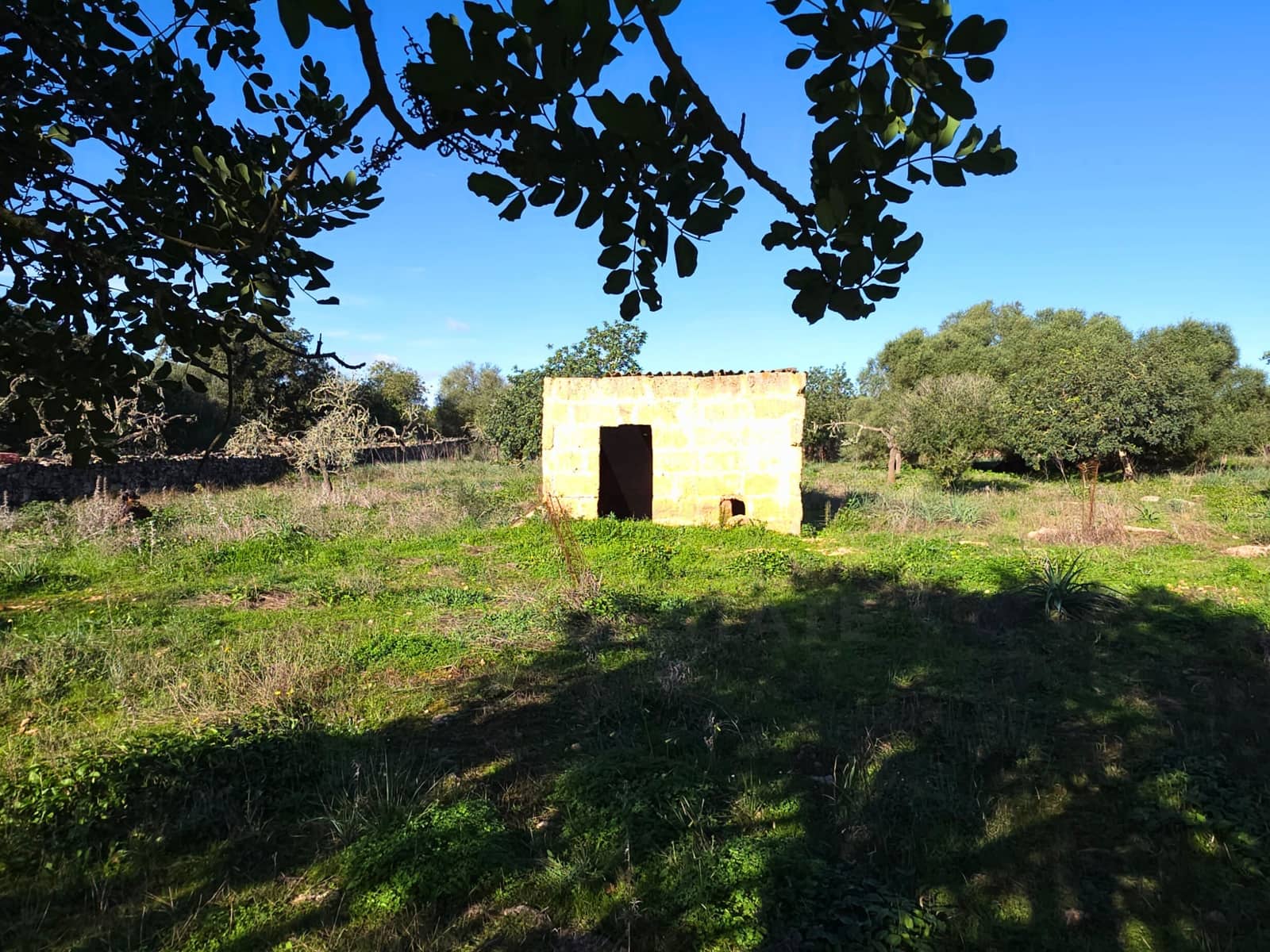 Ubebygd land til salgs i Santa Margalida - € 160 000 (Ref: 9991017)
