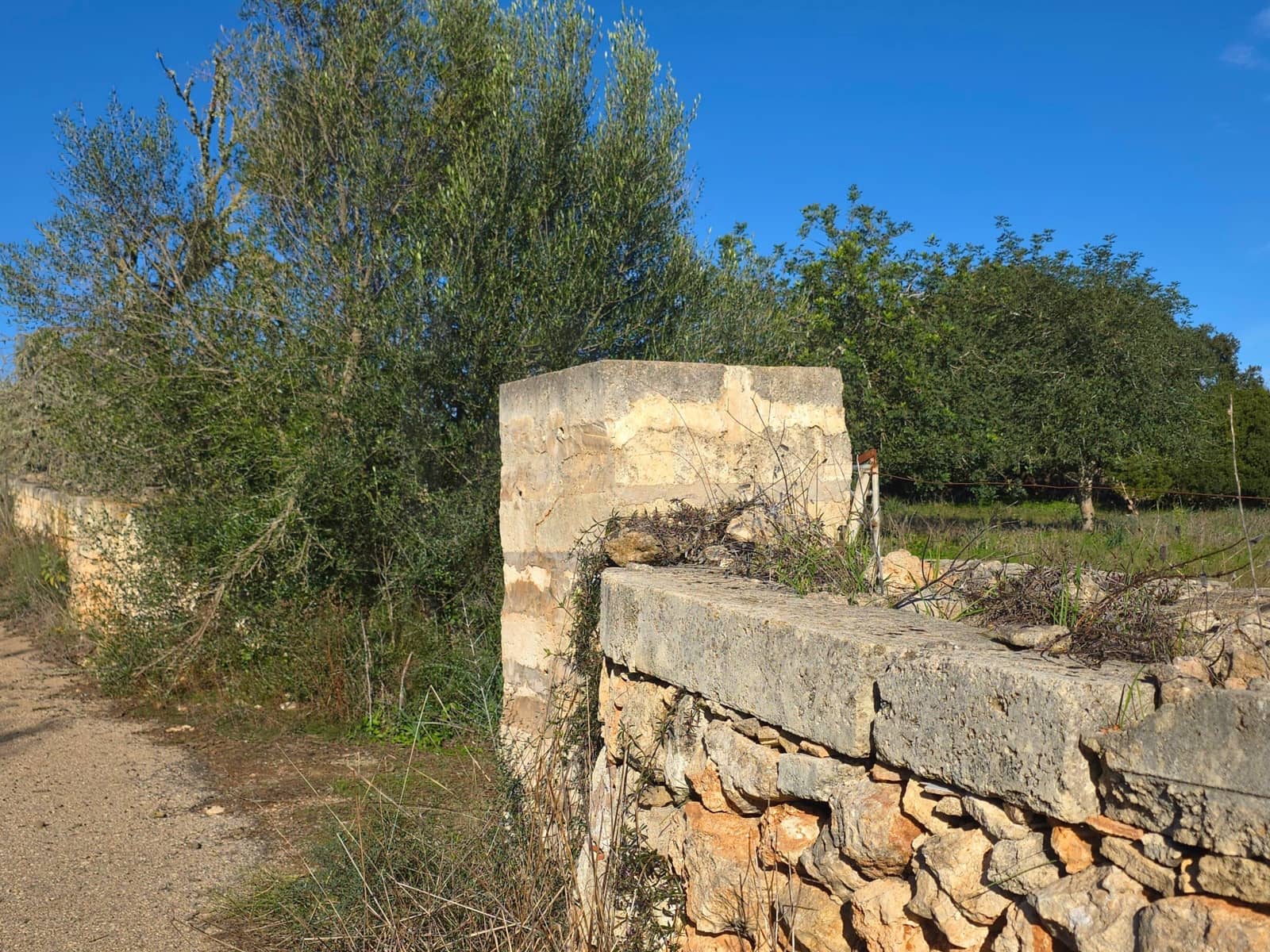 Ubebygd land til salgs i Santa Margalida - € 160 000 (Ref: 9991017)