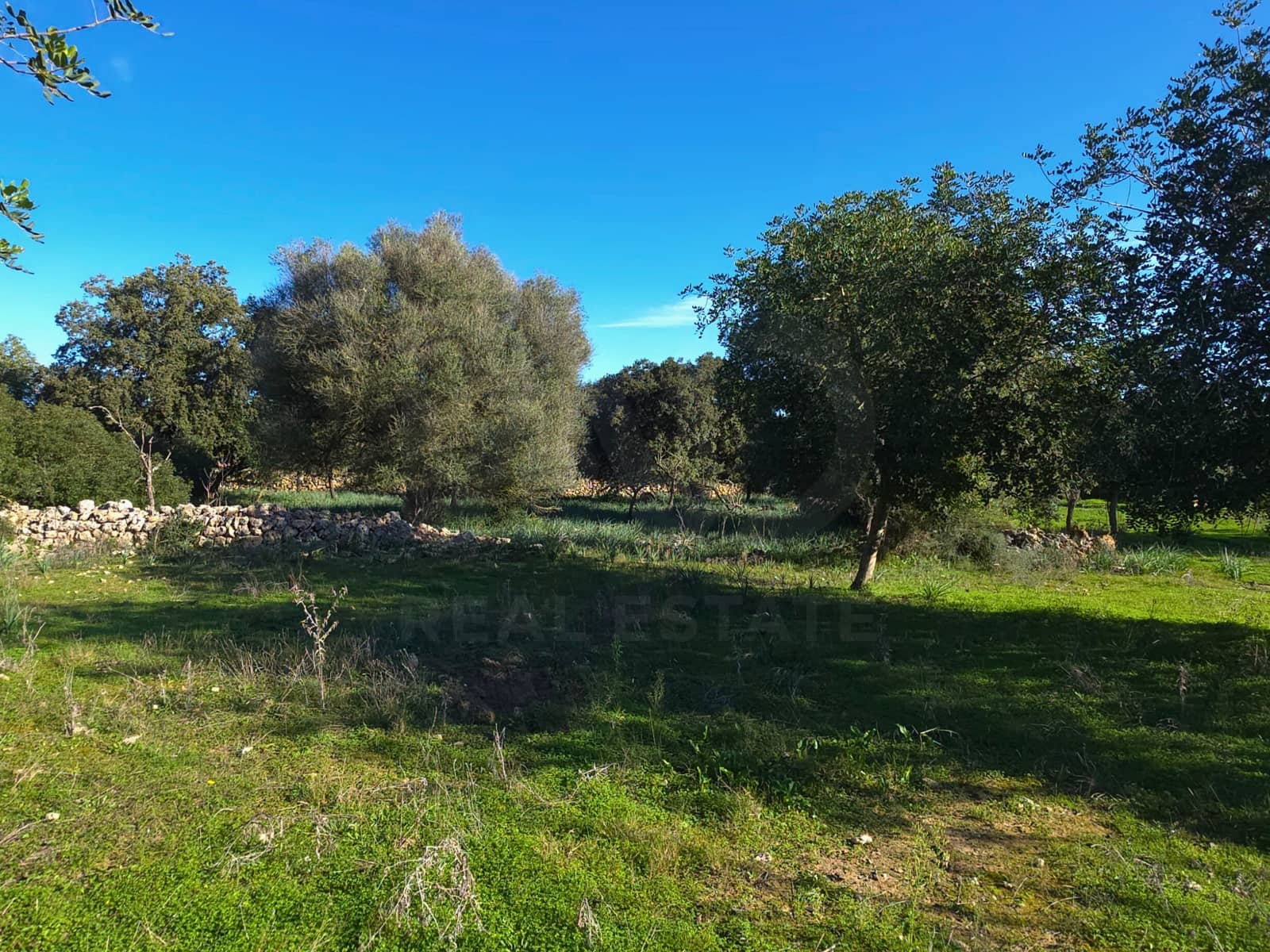 Ubebygd land til salgs i Santa Margalida - € 160 000 (Ref: 9991017)