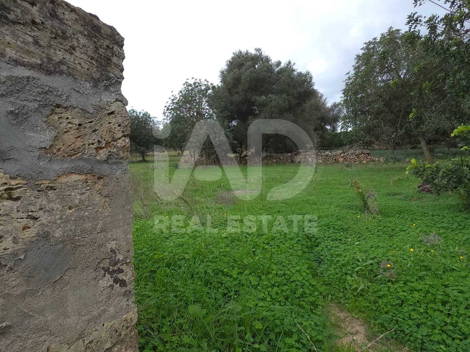Ubebygd land til salgs i Santa Margalida - € 160 000 (Ref: 9991017)