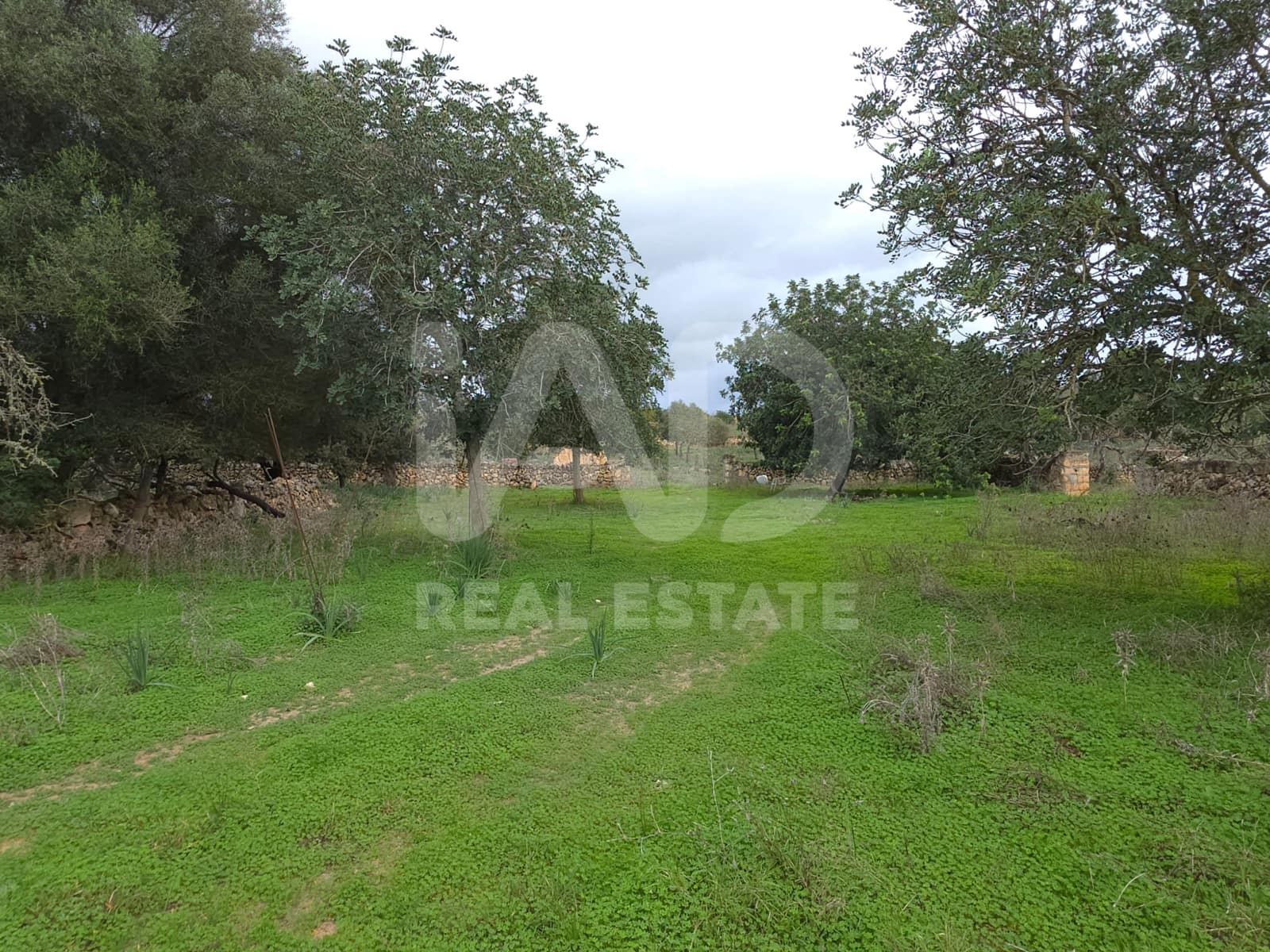 Ubebygd land til salgs i Santa Margalida - € 160 000 (Ref: 9991017)