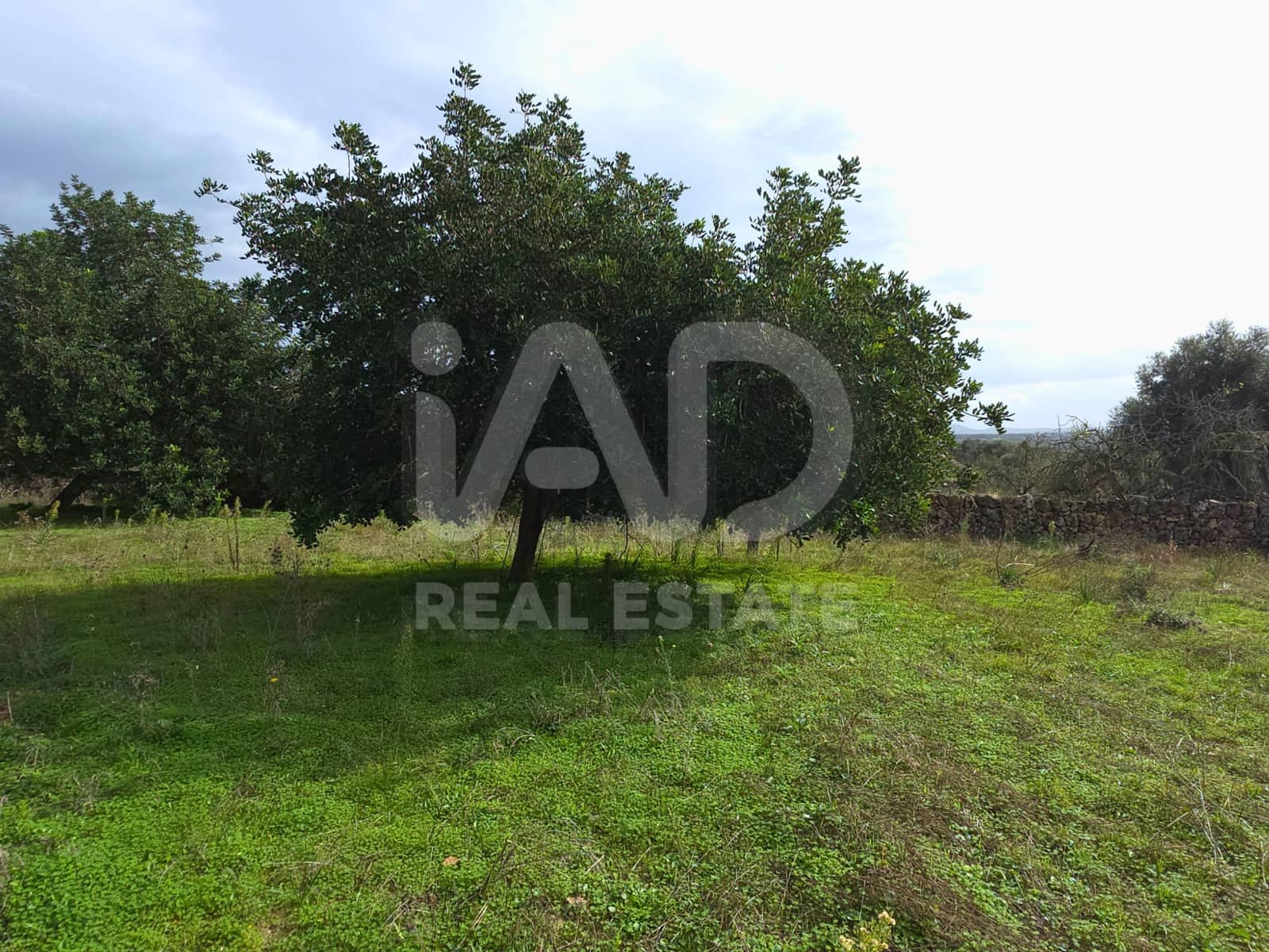 Ubebygd land til salgs i Santa Margalida - € 160 000 (Ref: 9991017)
