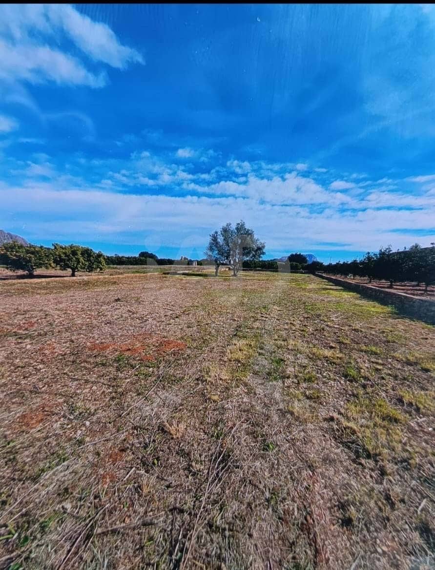 Ubebygd land til salgs i Alicante by - € 20 000 (Ref: 9991018)