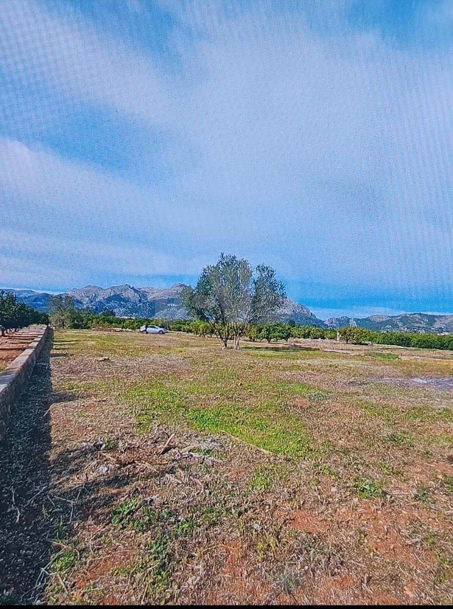 Ubebygd land til salgs i Alicante by - € 20 000 (Ref: 9991018)