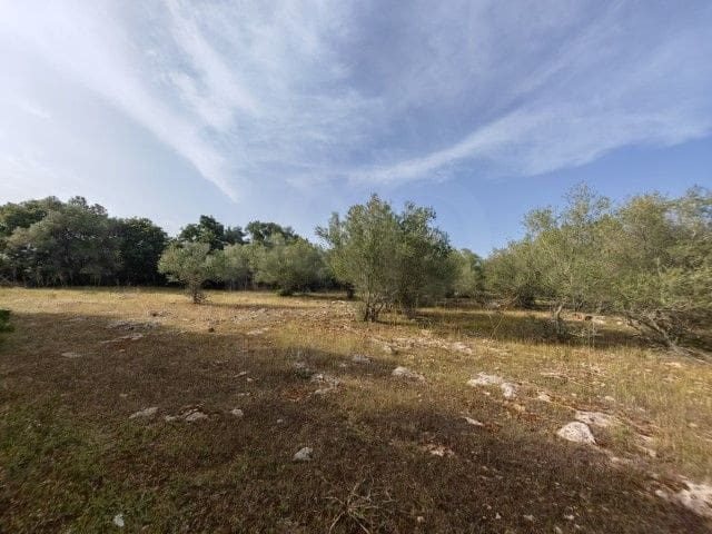 Terreno/Finca Rústica en Costitx en venta - 165.000 € (Ref: 9991019)