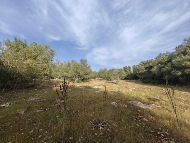 Terreno Não Urbanizado para venda em Costitx - 165 000 € (Ref: 9991019)